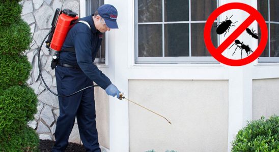 Alaybey Dezenfeksiyon böcek ilaçlama ve haşere kontrolü — ilaclama-tr.com